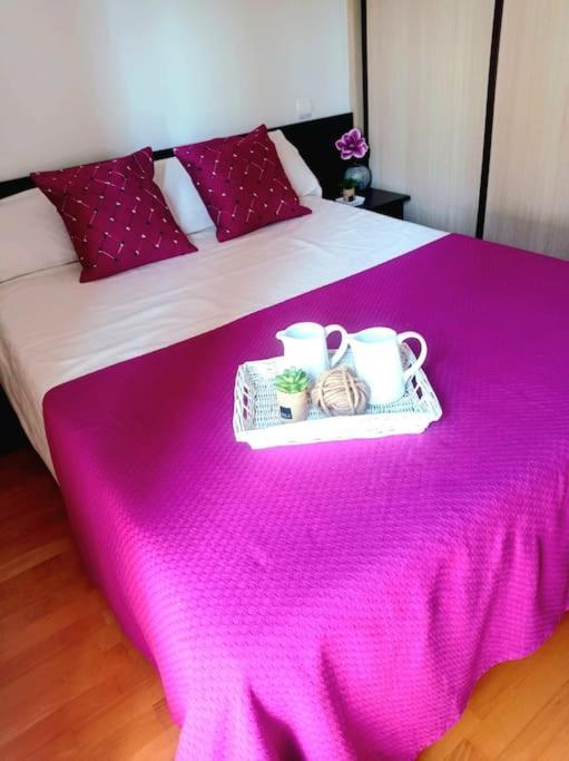 Апартаменти Acogedor Apartamento Con Piscina Y Garaje Уеска Екстер'єр фото